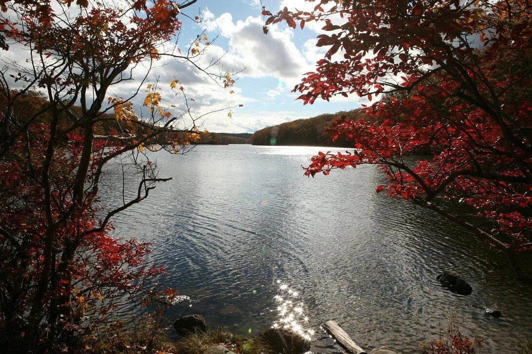 7 Lakes Drive
