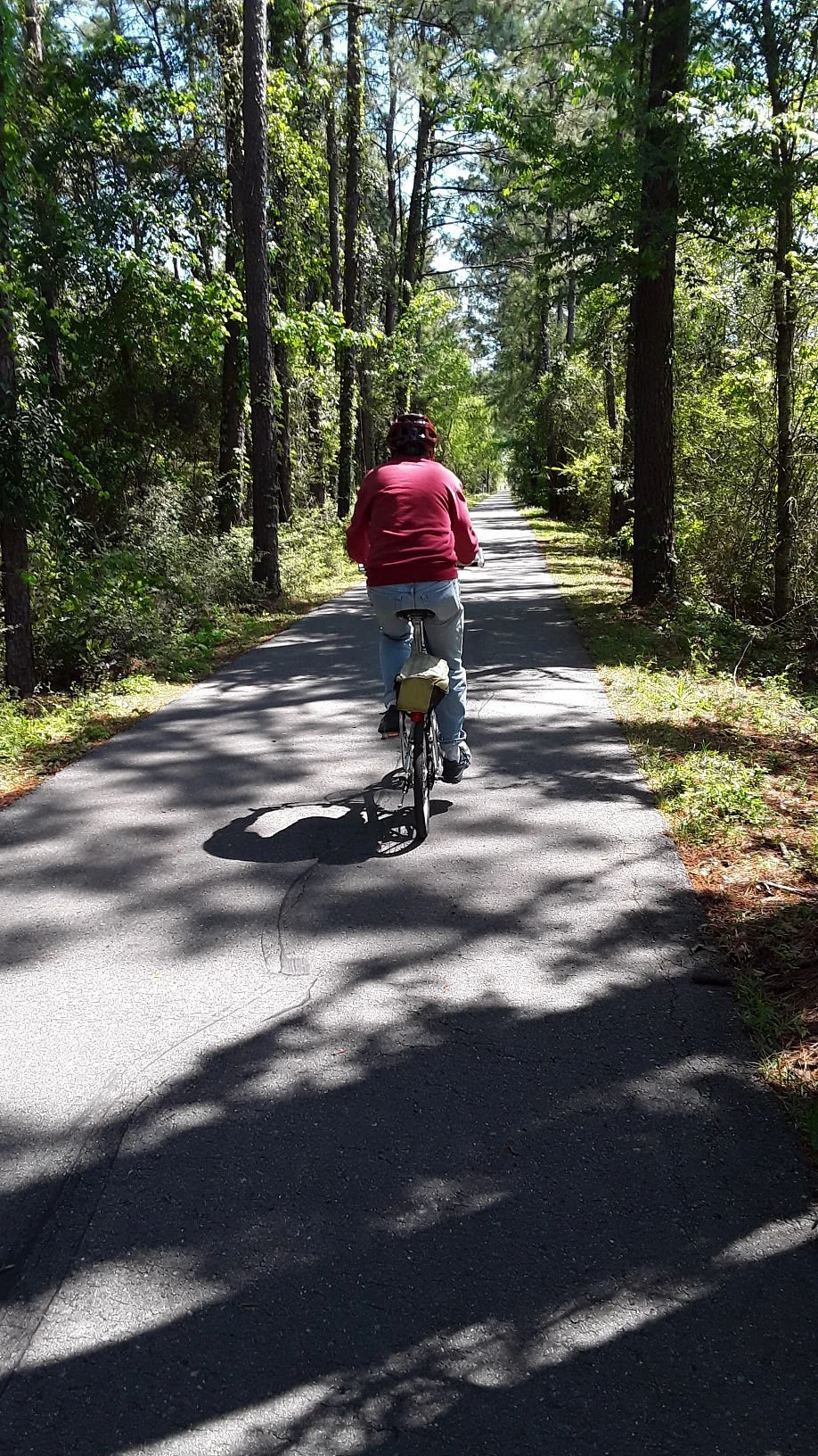 Tammany Trace