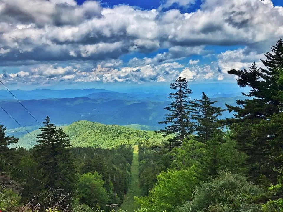 Mount Mitchell State Park