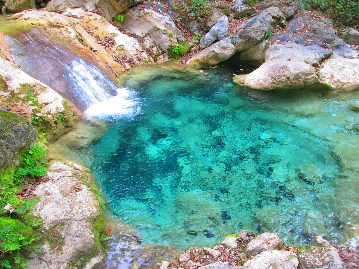 Parque Natural La Estanzuela