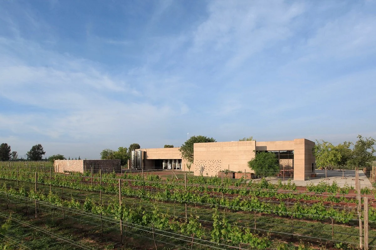 Vinedos Cuna de Tierra