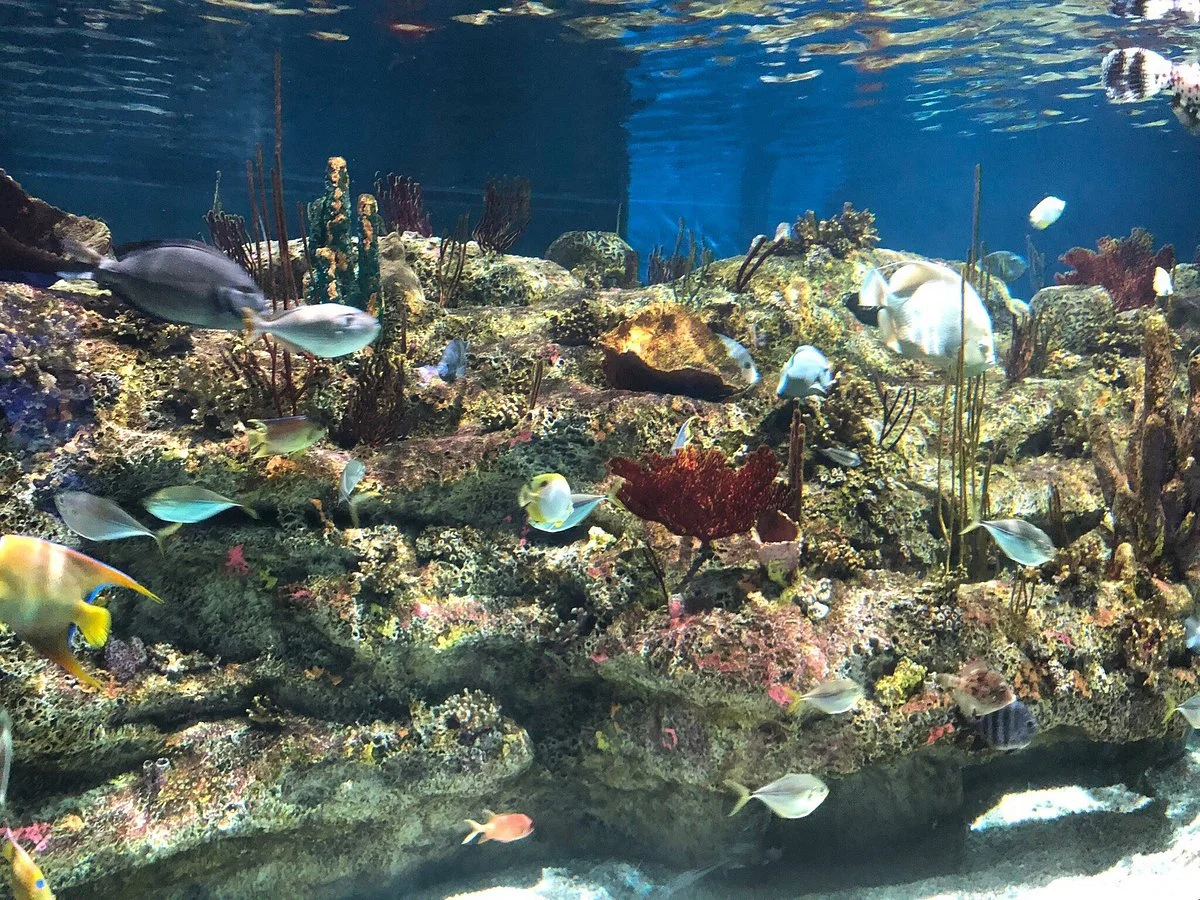 North Carolina Aquarium at Fort Fisher