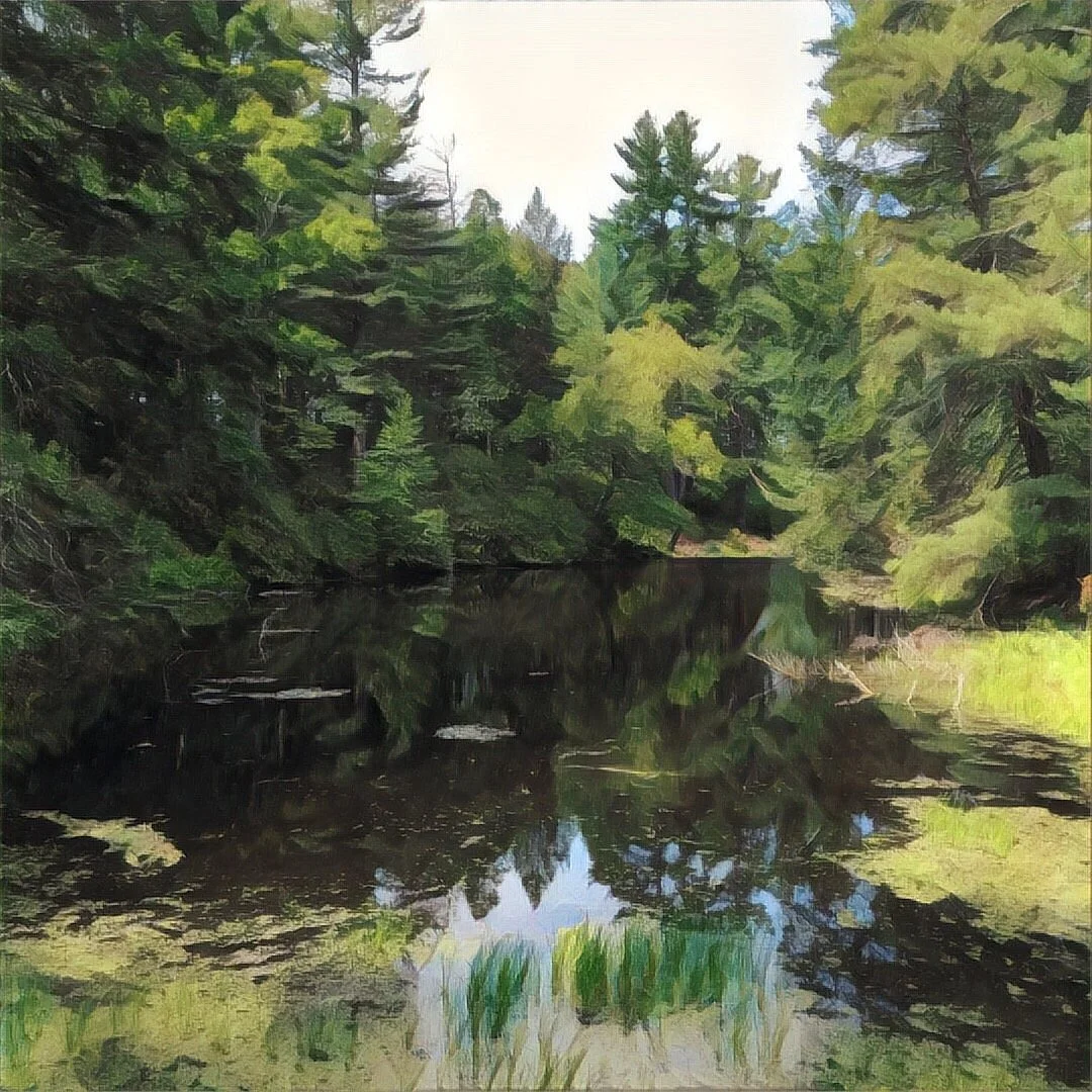 Maudslay State Park