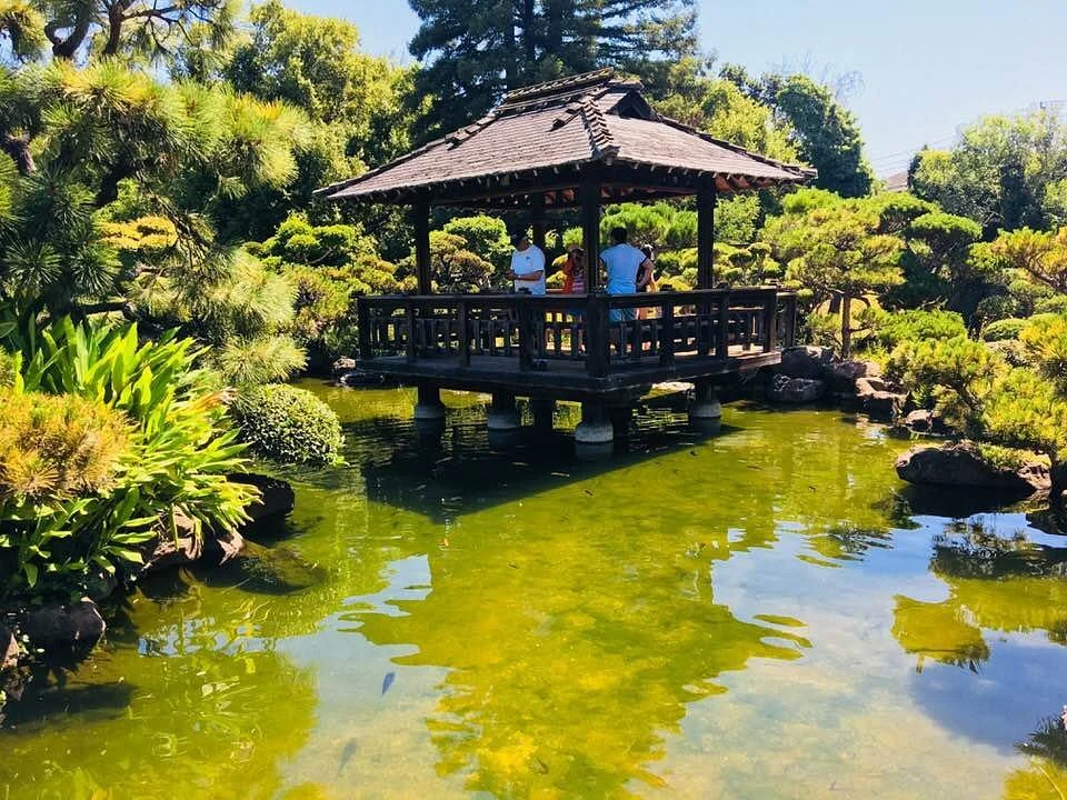 Hayward Japanese Gardens
