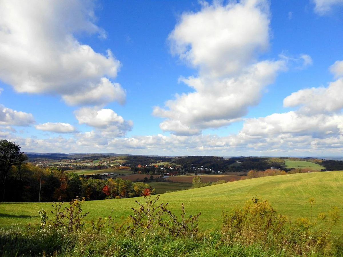 Savage River State Forest