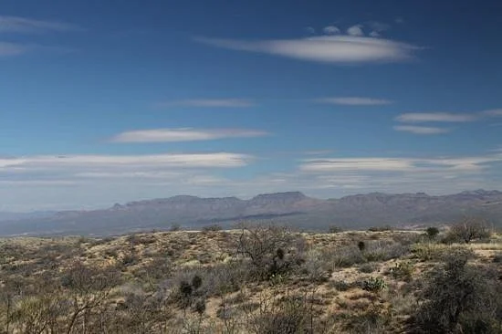 Oracle State Park