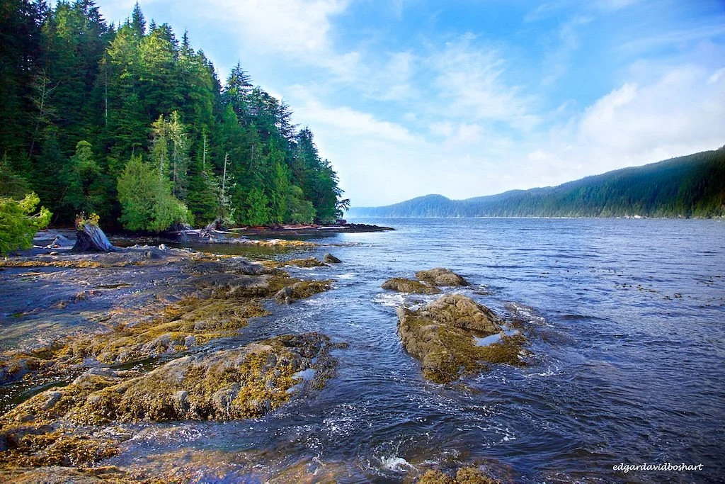 French Beach Provincial Park