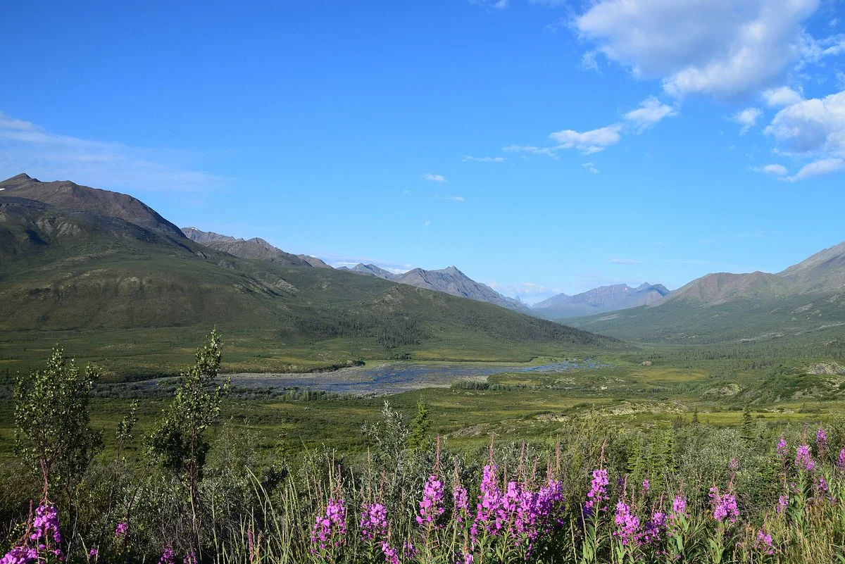 Tombstone Territorial Park