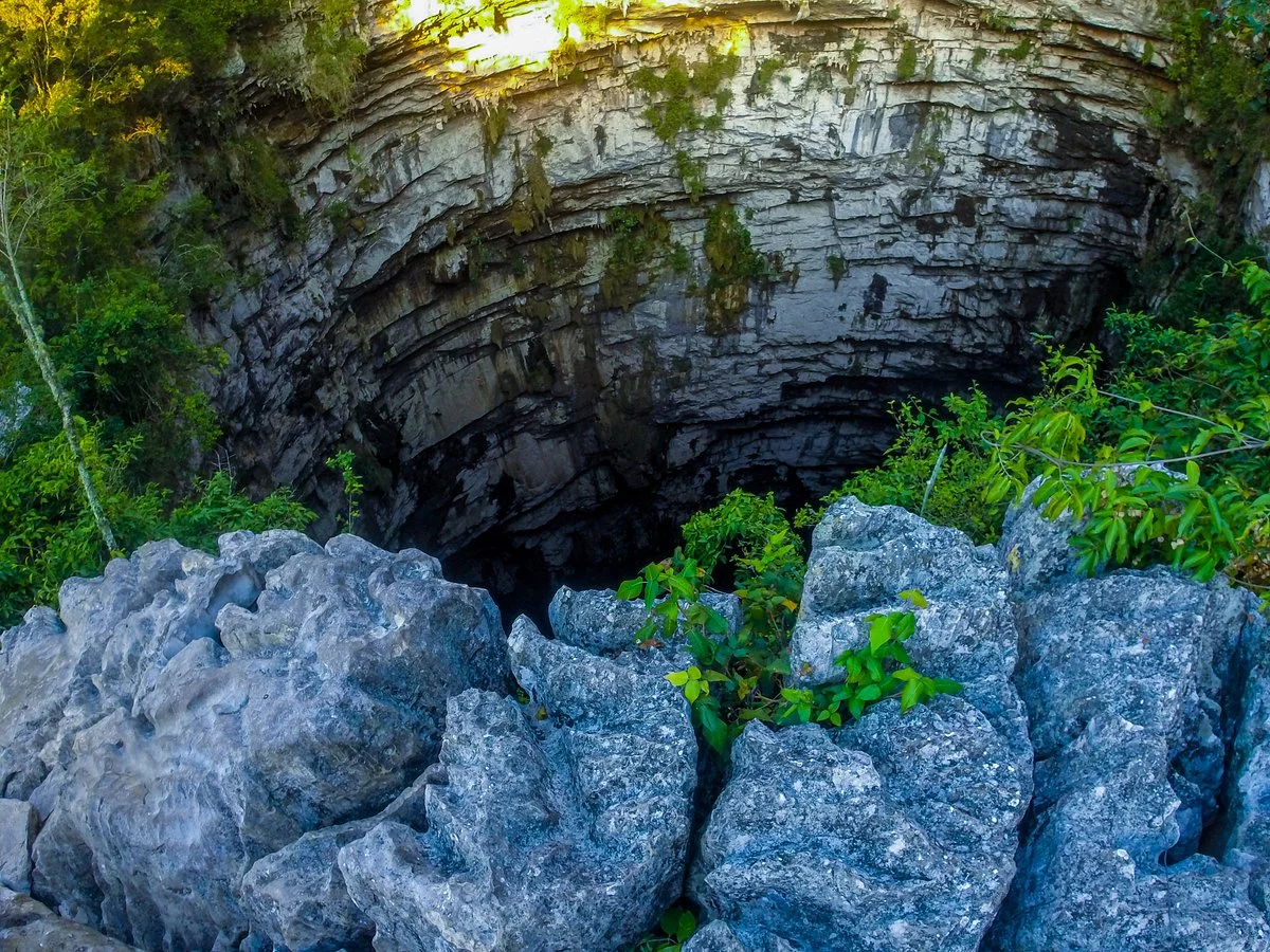 Sotano De Las Golondrinas