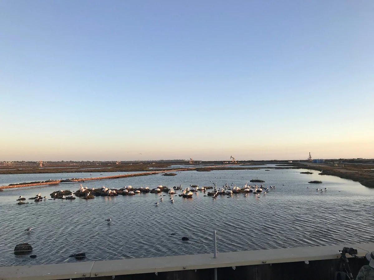 Bolsa Chica Ecological Reserve