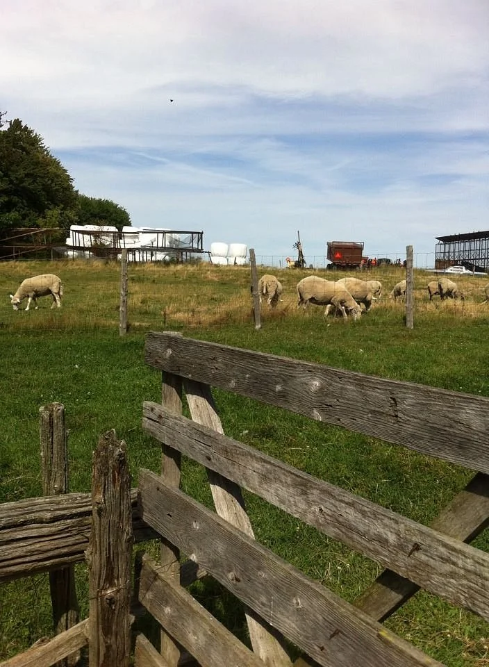 Ferme du Bassin