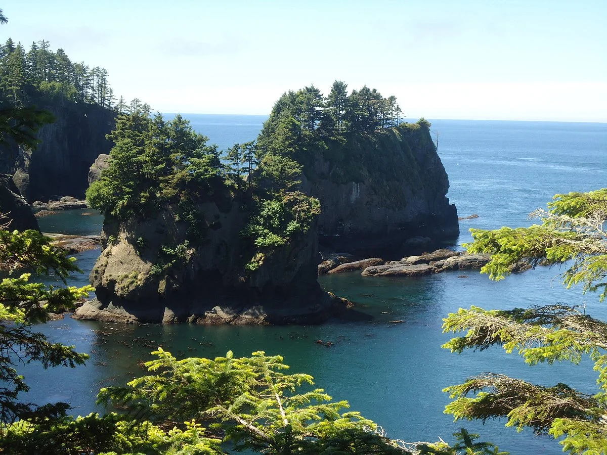 Cape Flattery Trail