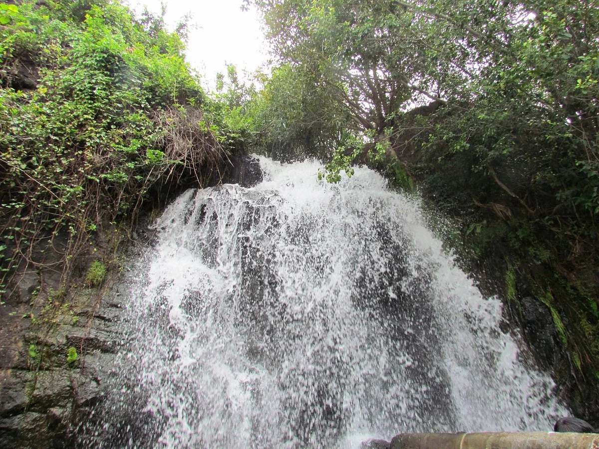 Agasthiyar Falls