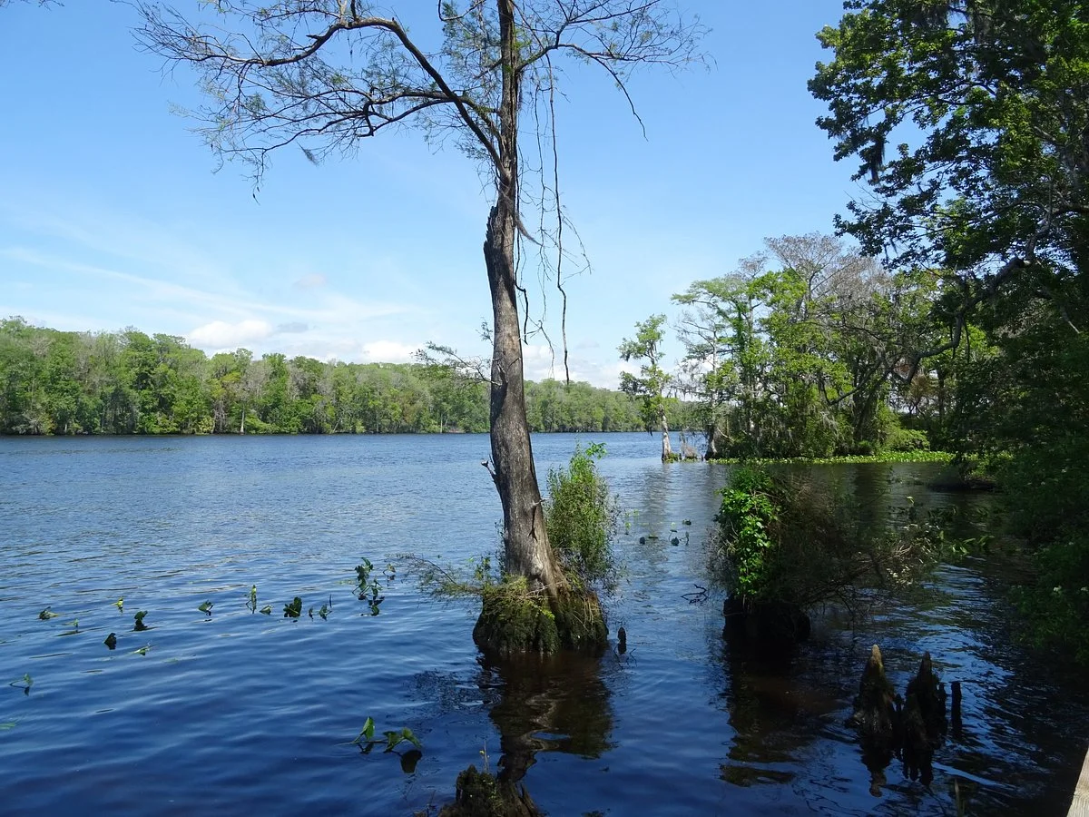 Lower Suwannee National Wildlife Refuge