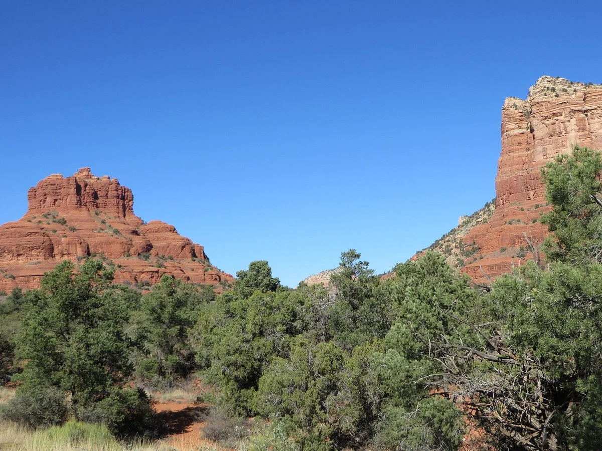 Coconino National Forest
