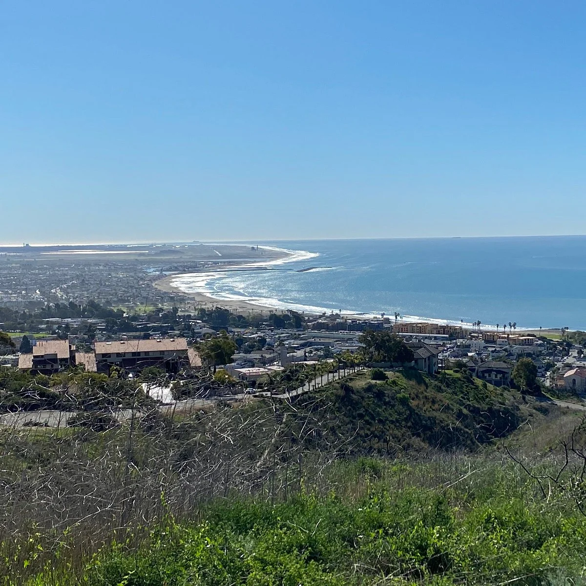 Ventura Botanical Gardens