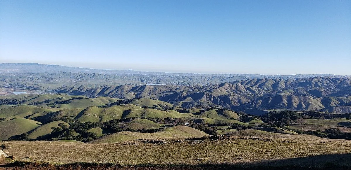 Mission Peak Regional Preserve