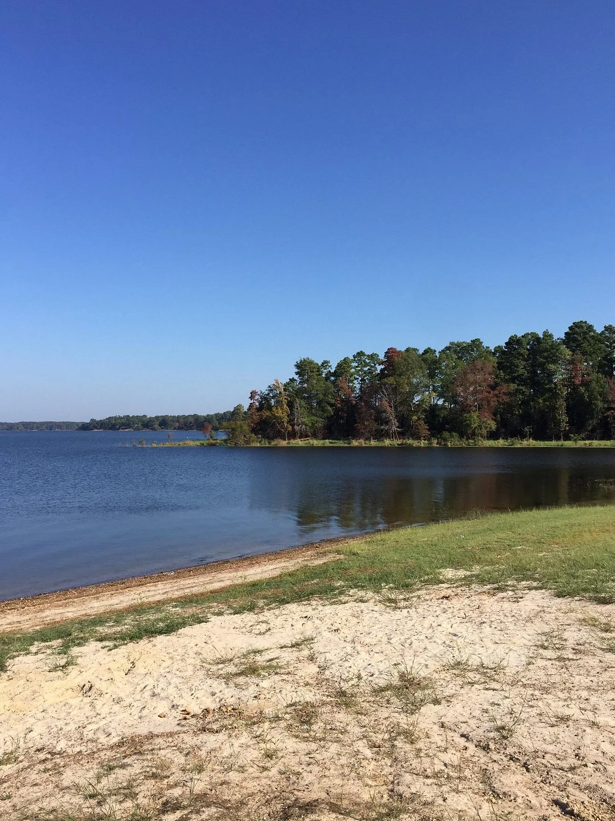 Sabine National Forest