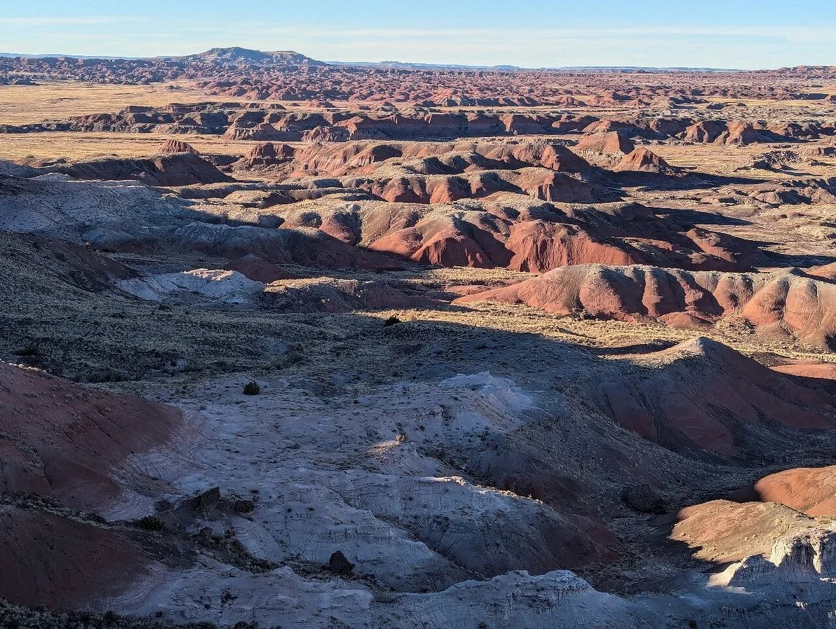 Petrified Forest National Park