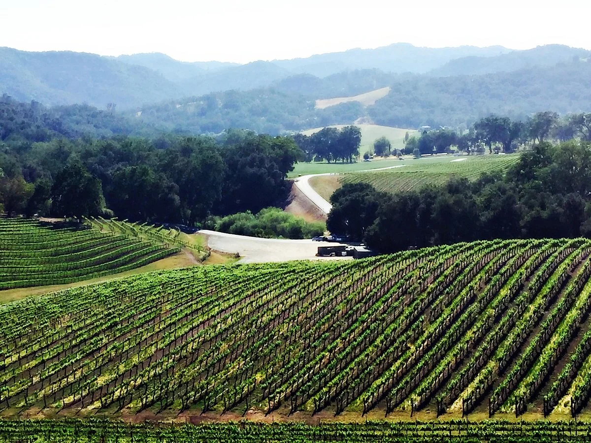 Opolo Vineyards