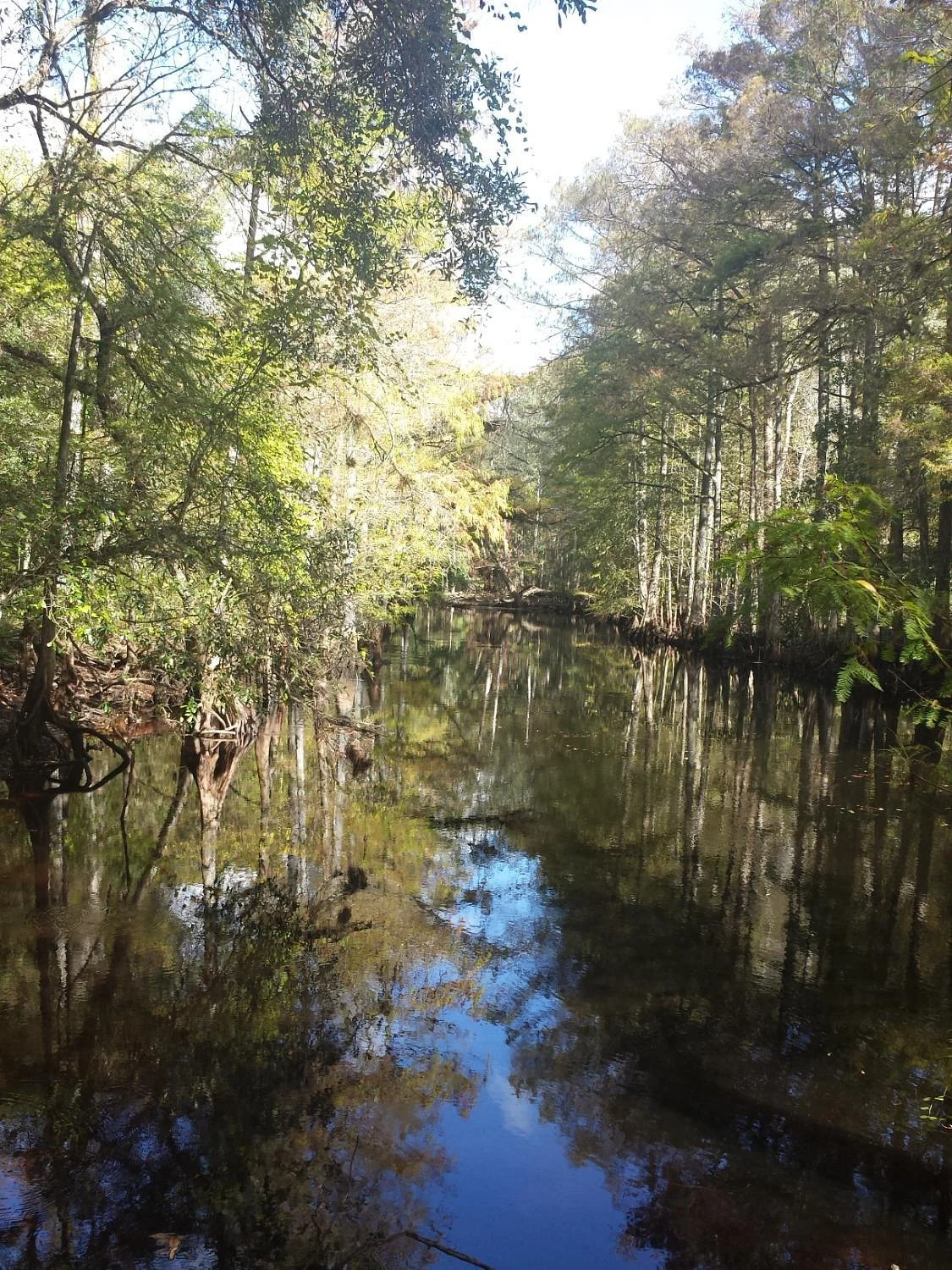 Withlacoochee State Trail