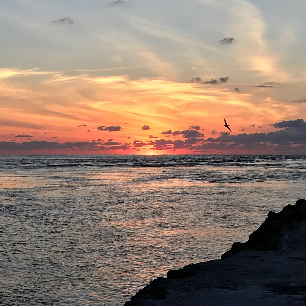 Jetty Park