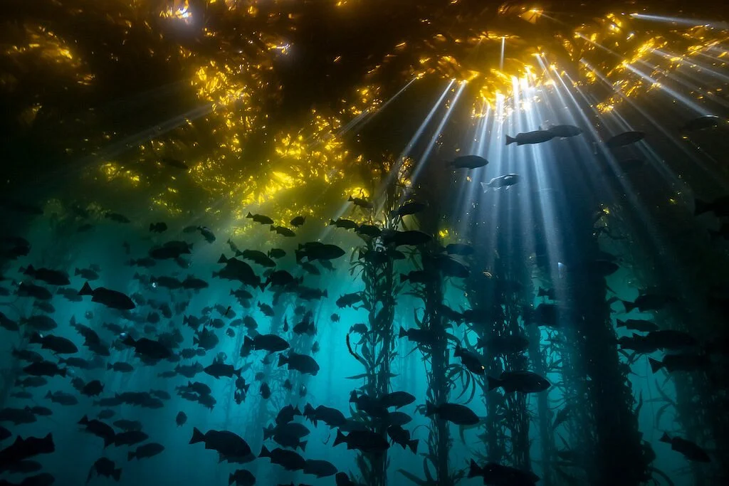 Monterey Bay National Marine Sanctuary