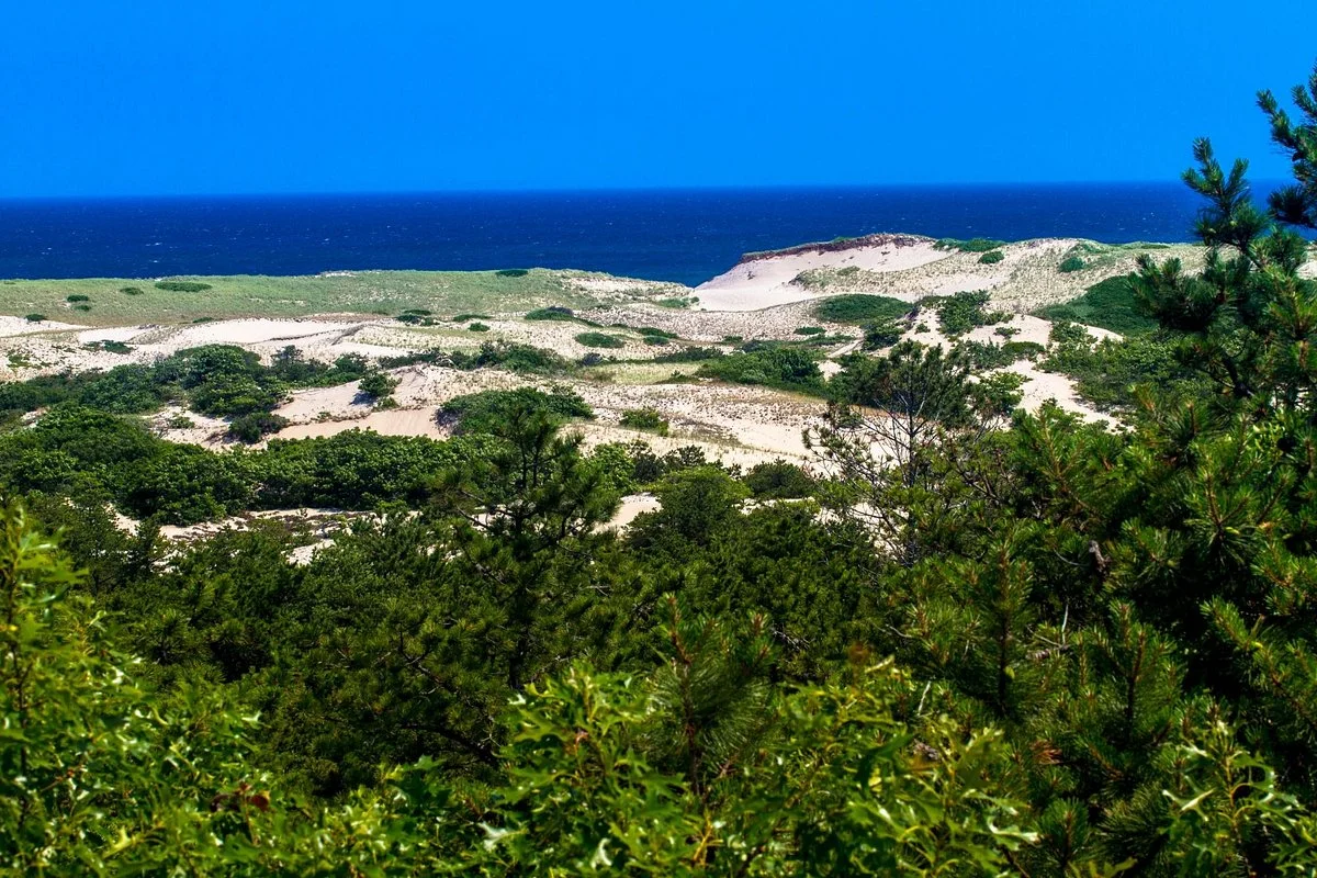 Province Lands Visitor Center