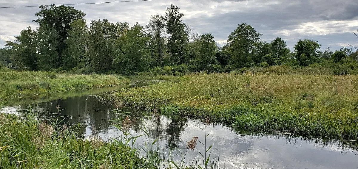 White Memorial Conservation Center