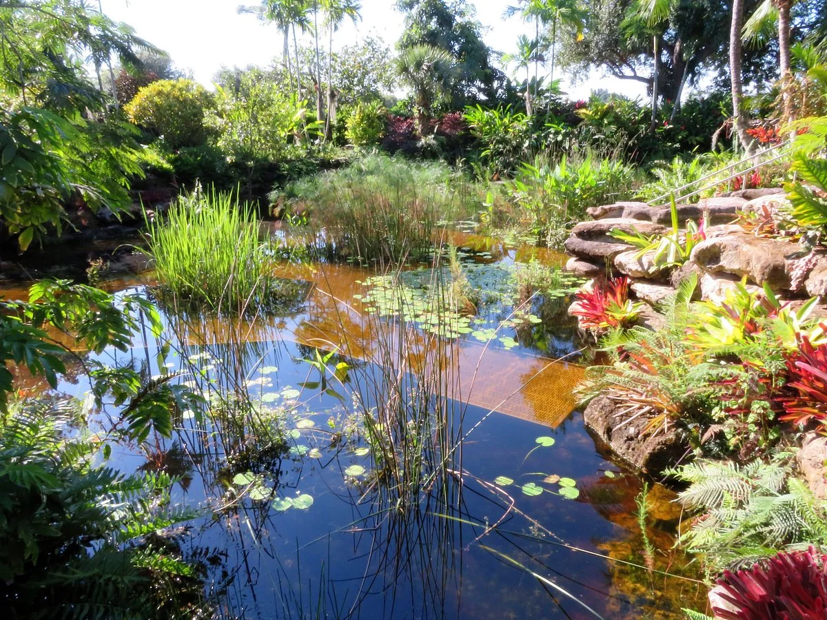 Mounts Botanical Garden