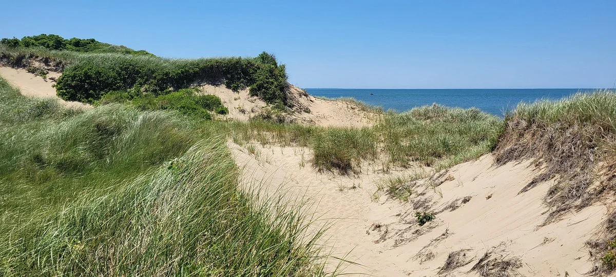 Great Island Trail