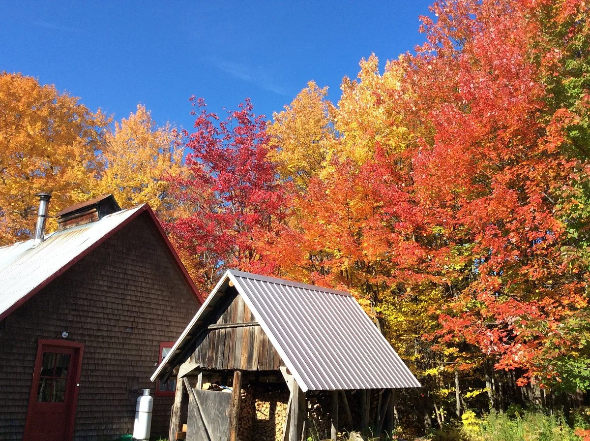 Cabane a Sucre L'Entailleur