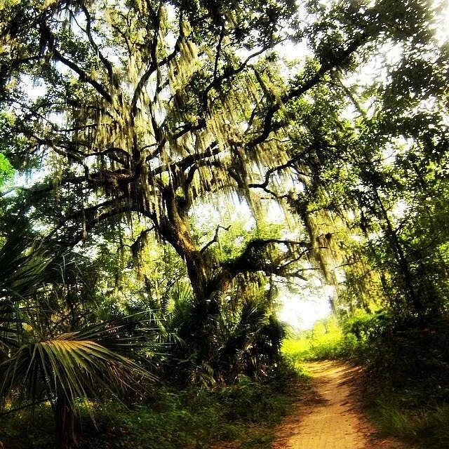 Alafia River State Park