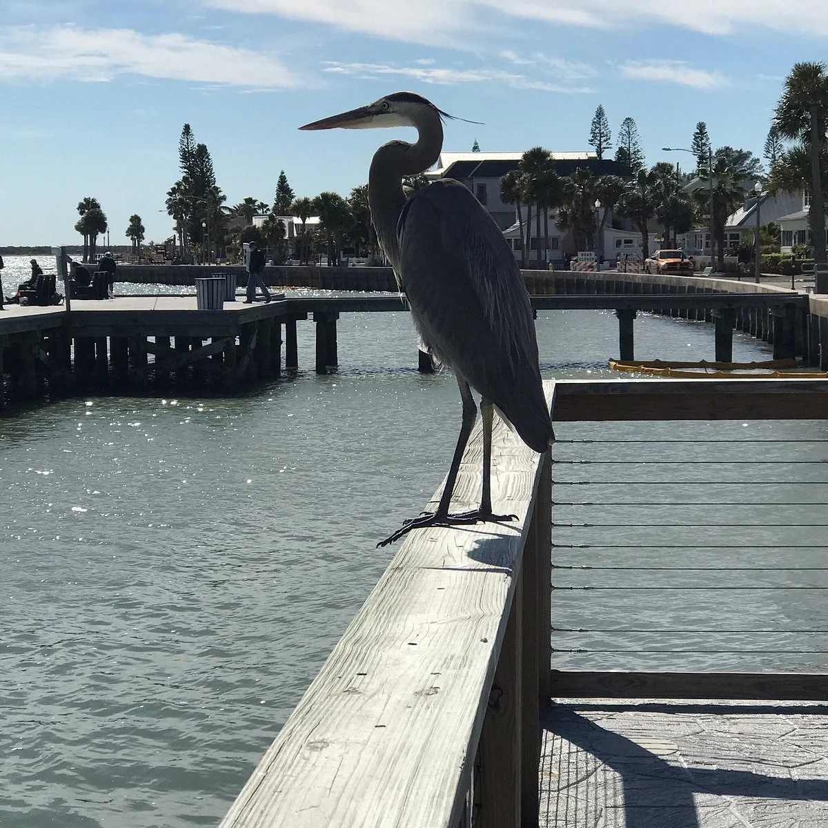 Merry Pier