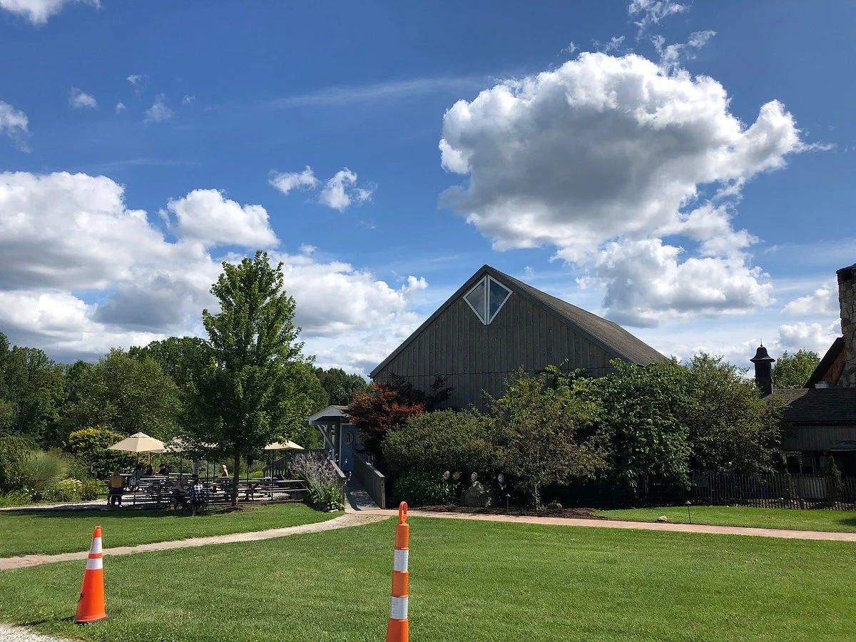 Sarah's Vineyard