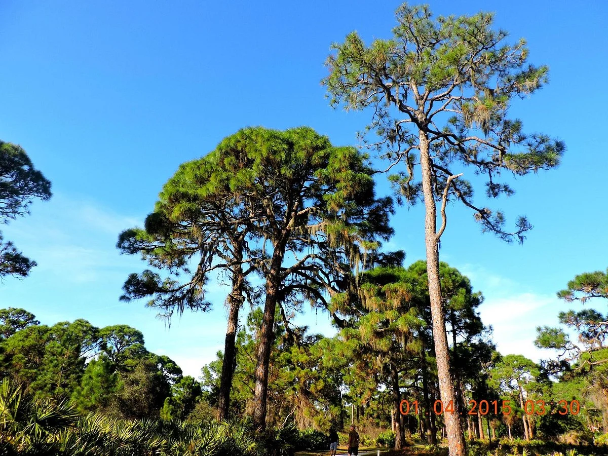 Lemon Bay Park