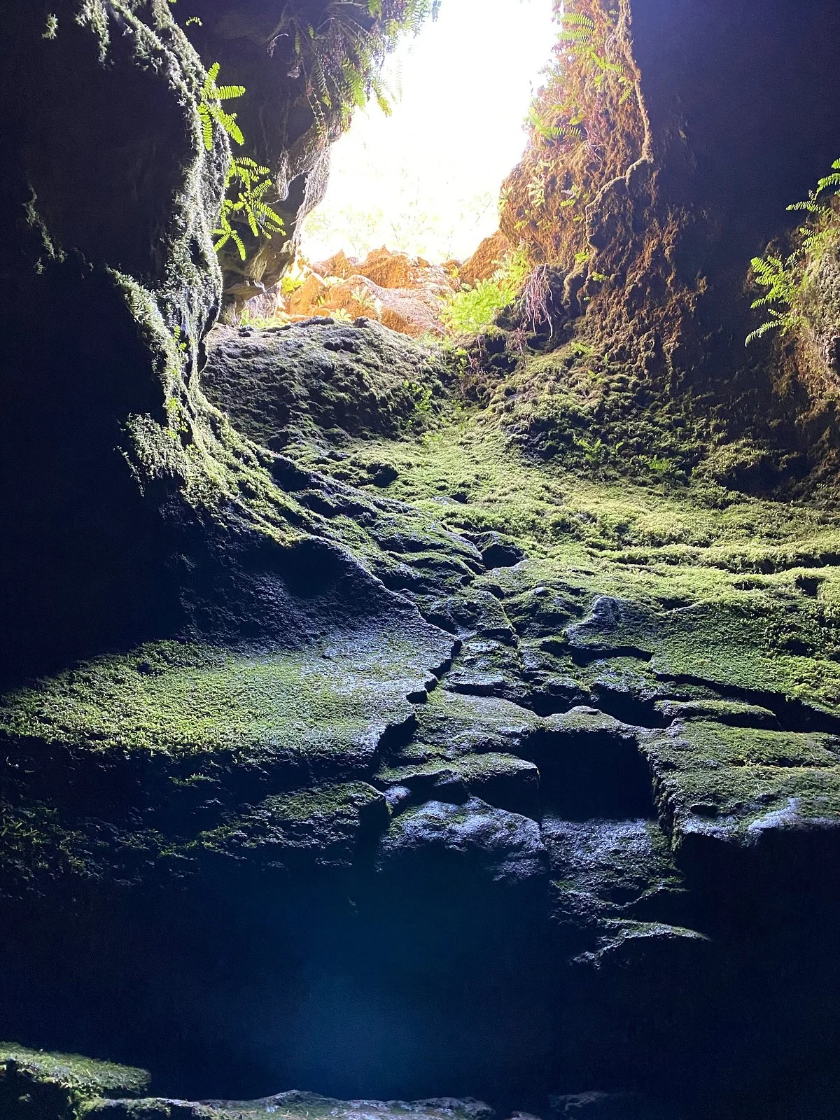 Ape Cave Lava Tubes