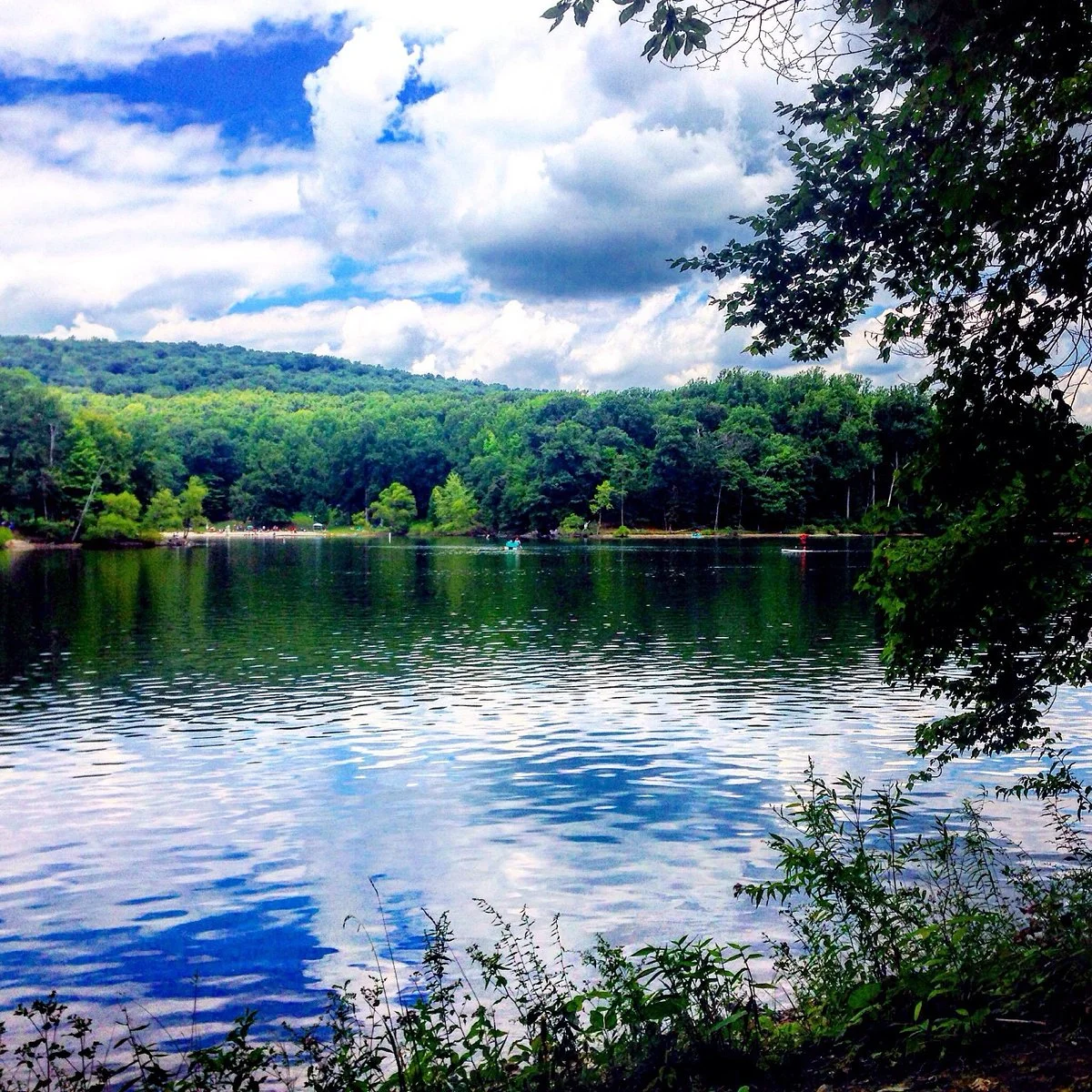 Greenbrier State Park