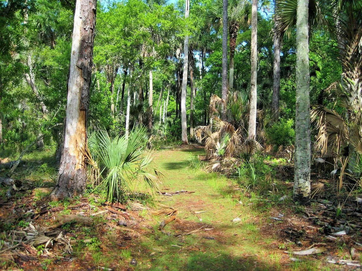 Hontoon Island State Park