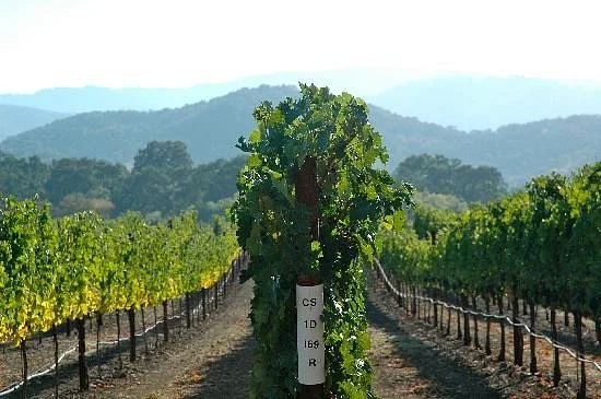Goosecross Cellars