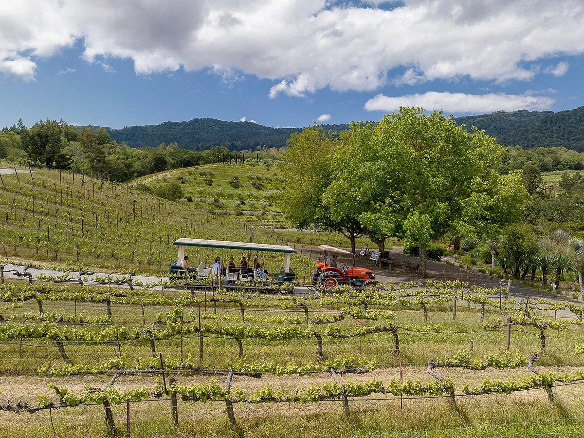 Benziger Family Winery