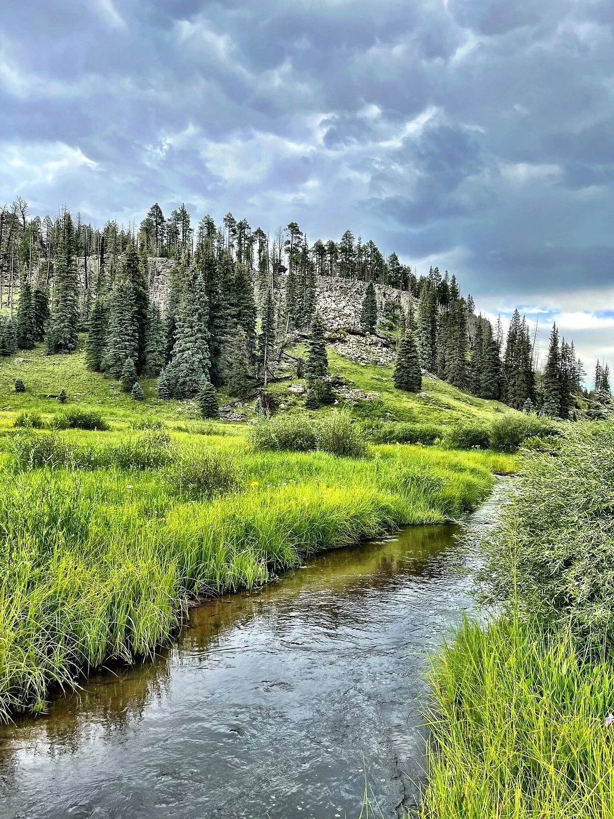 Thompson Trail (Forest Service Trail 629)