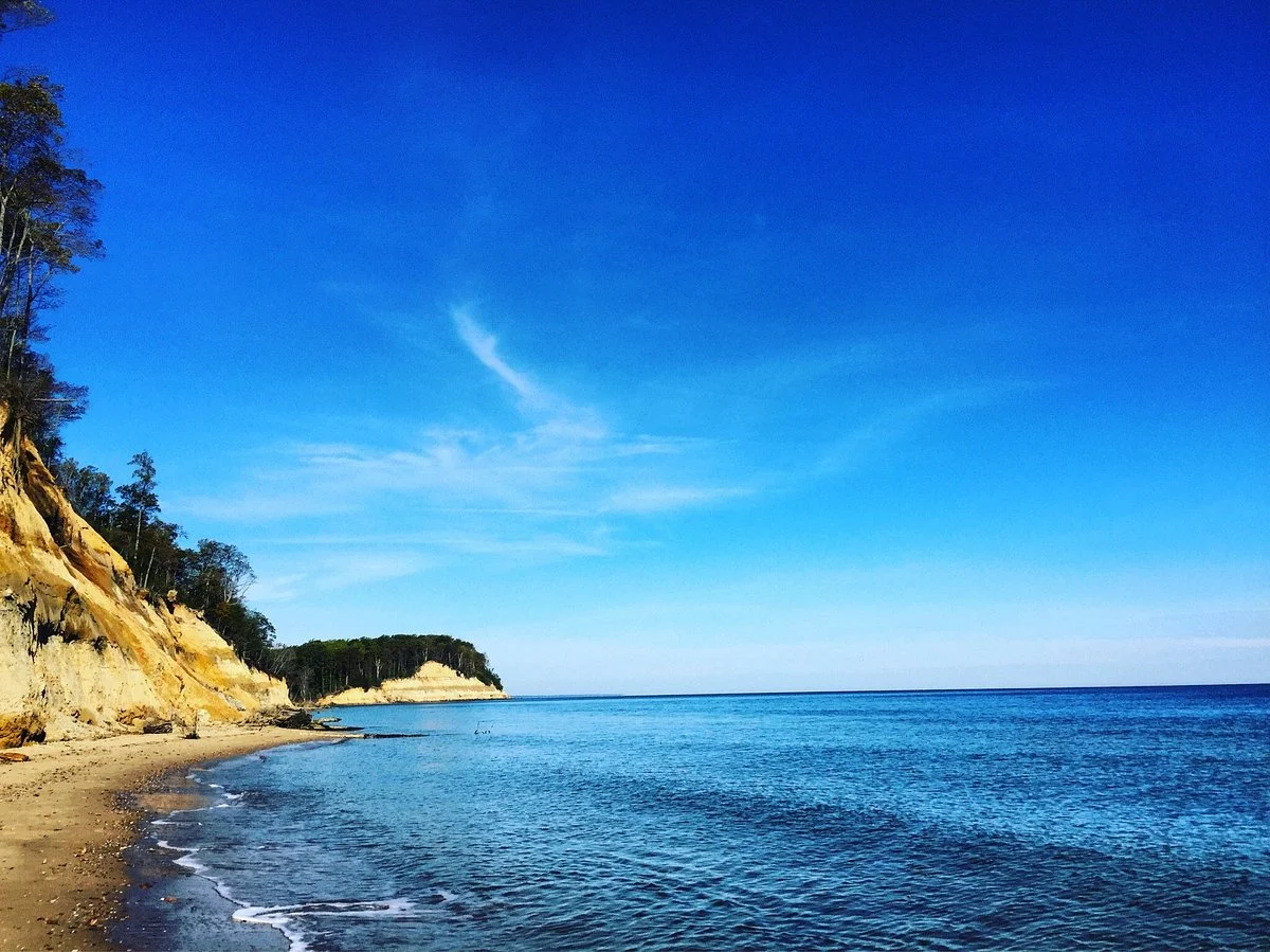 Calvert Cliffs State Park