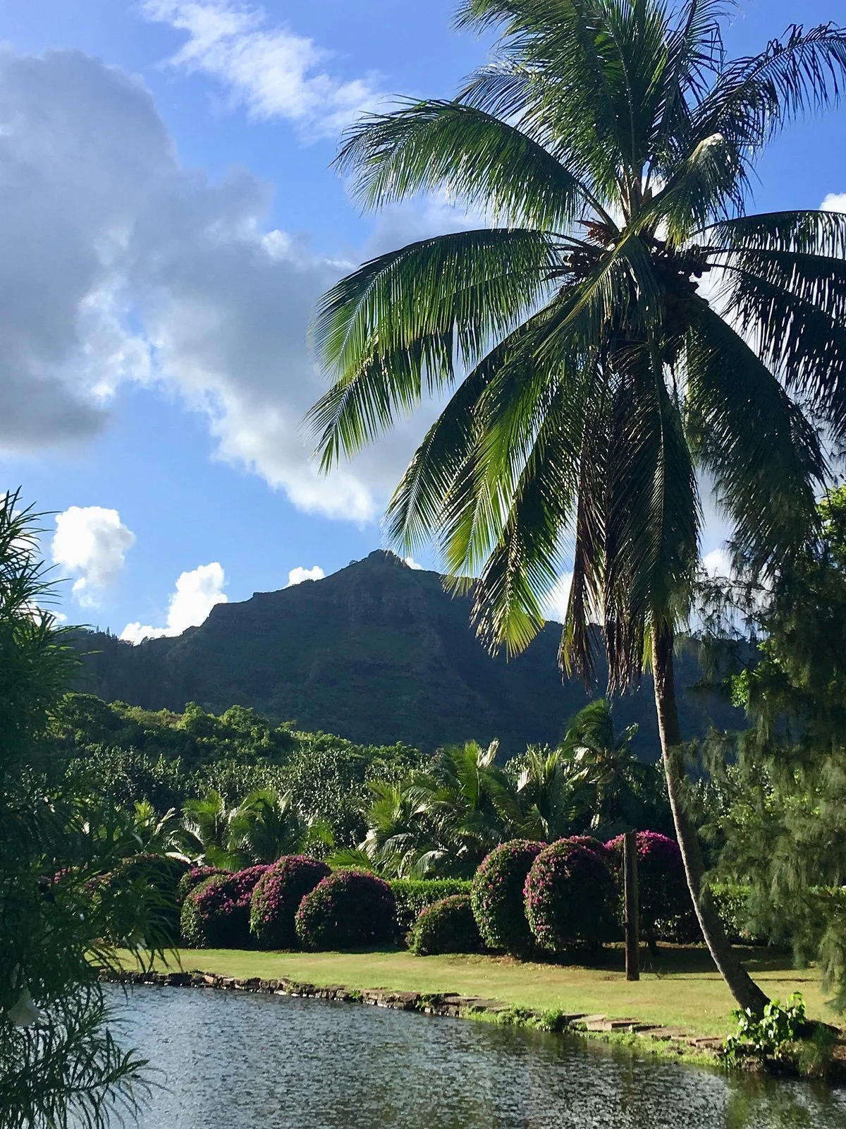 Smiths Tropical Paradise