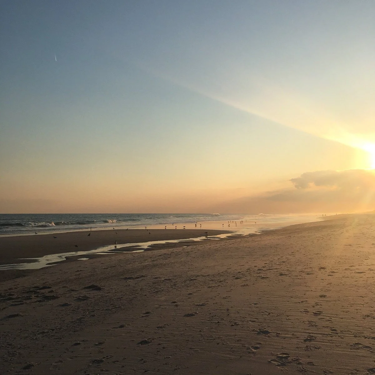 Fire Island National Seashore