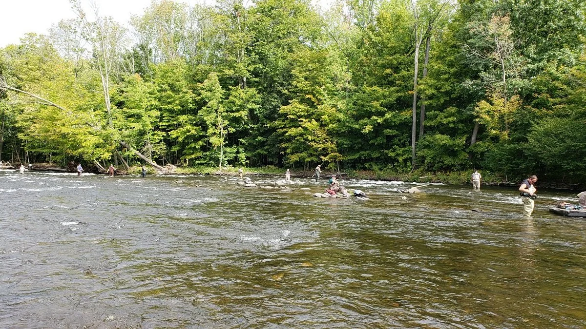 Salmon River