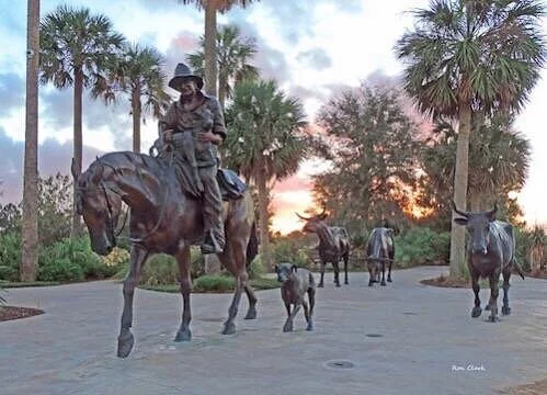 Brownwood Paddock Square