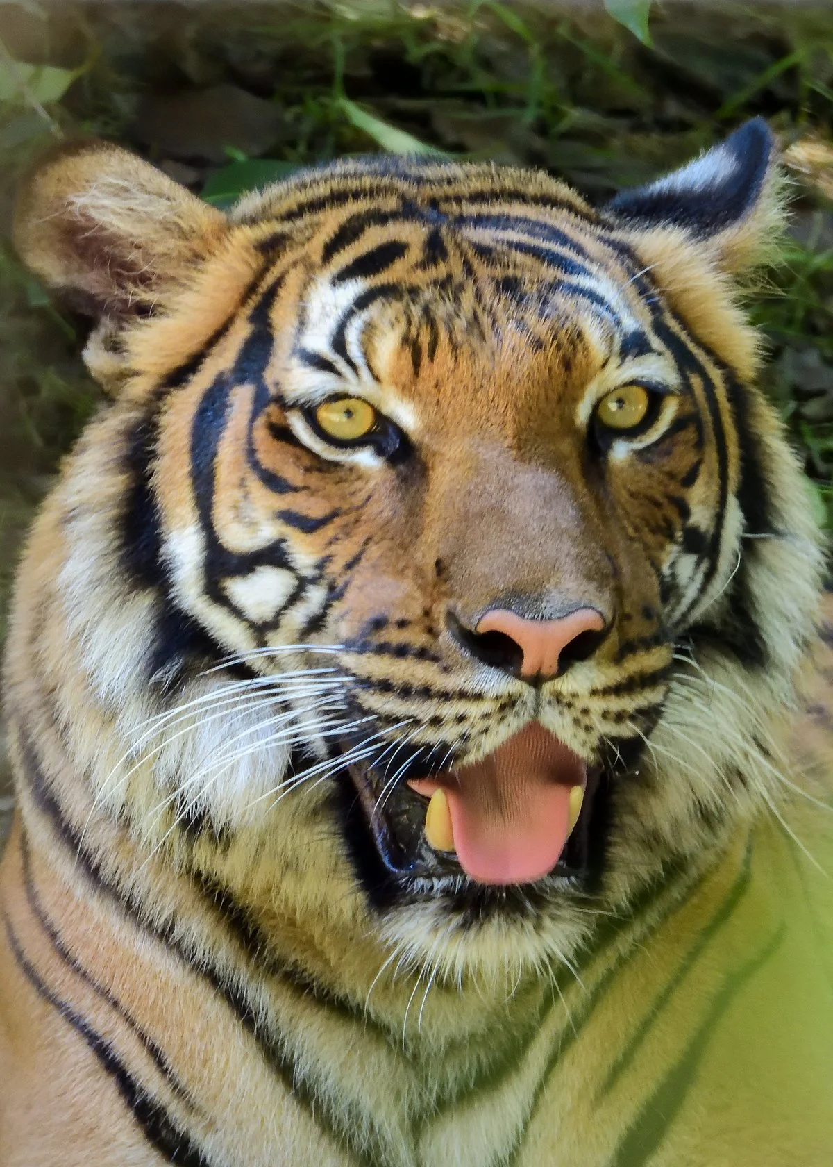 Alexandria Zoological Park