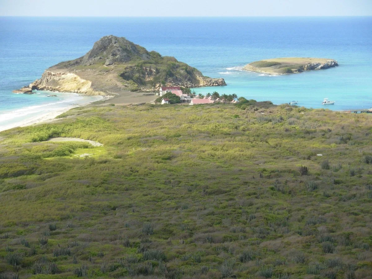 Coffin Island