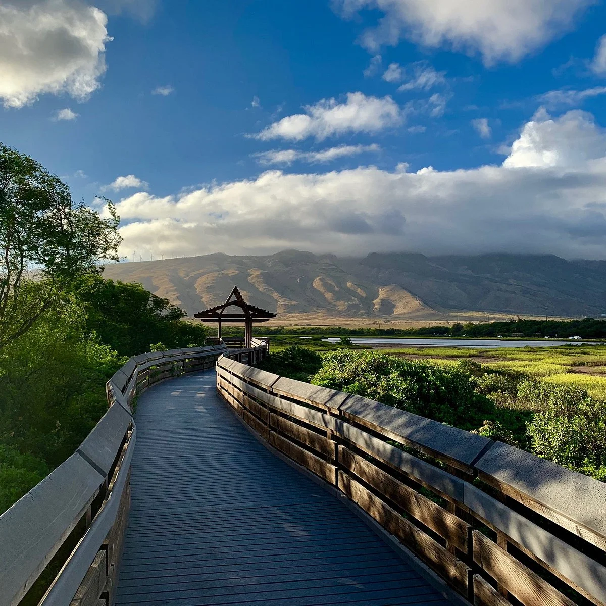 Kealia Coastal Boardwalk